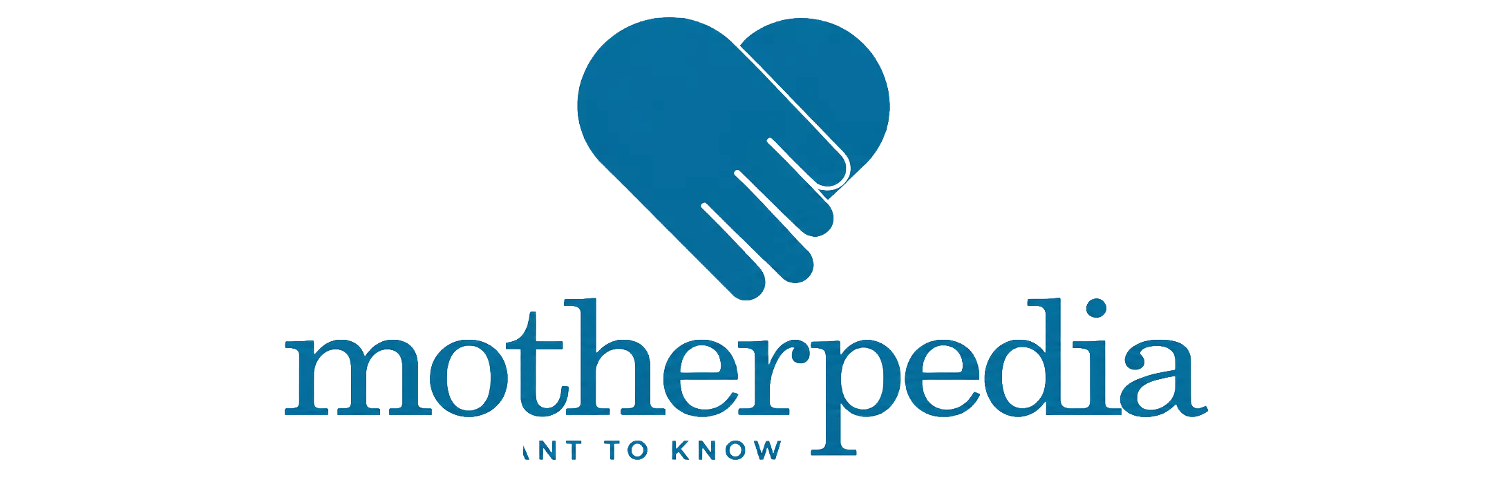 Media Partner