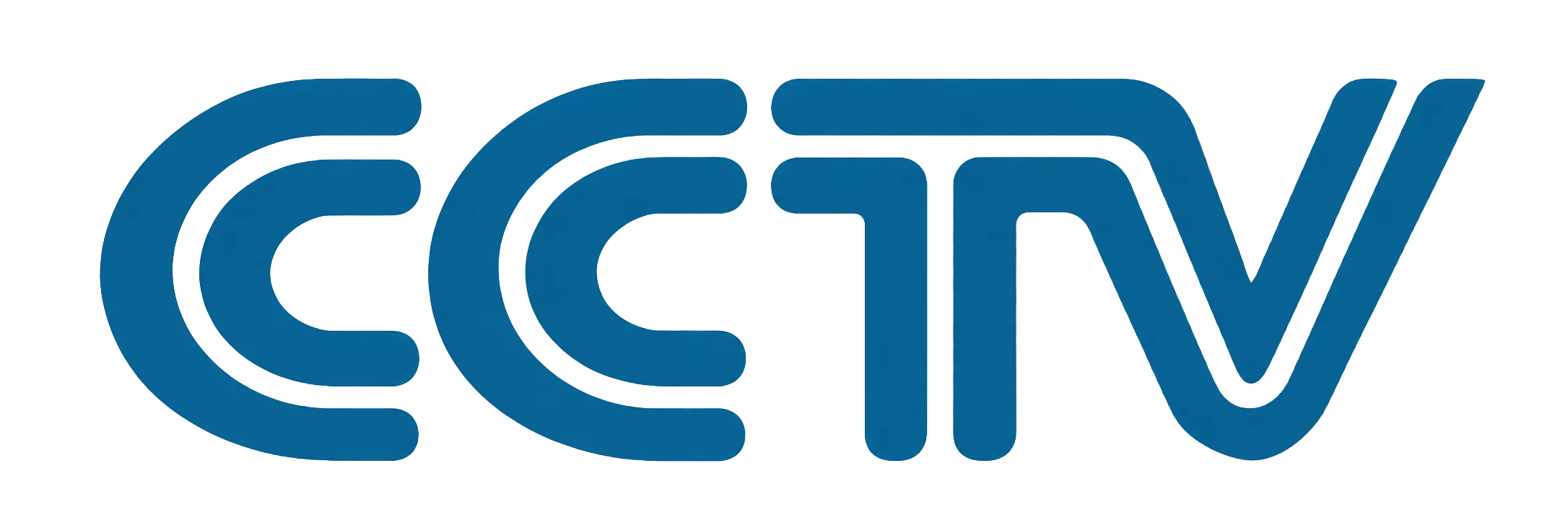 Media Partner