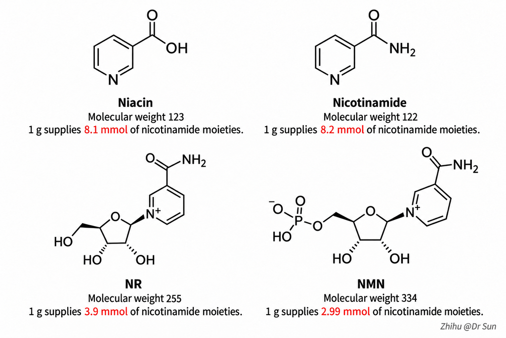 04 equal dose comparison final
